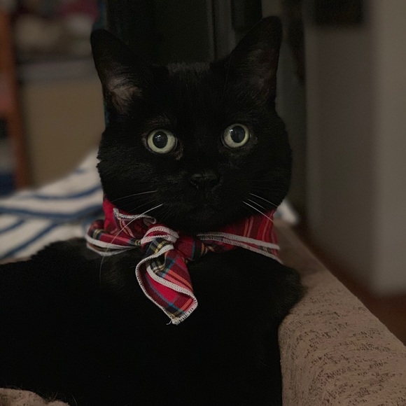 ✨Tracym_13 is LIVE✨ - Picture 3 of 8